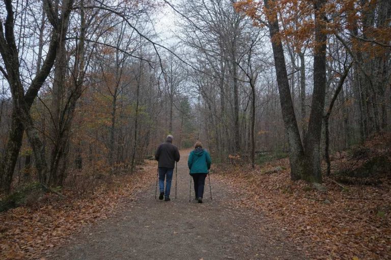 Two people in their late fifties walking away from the camera along a wooded trail